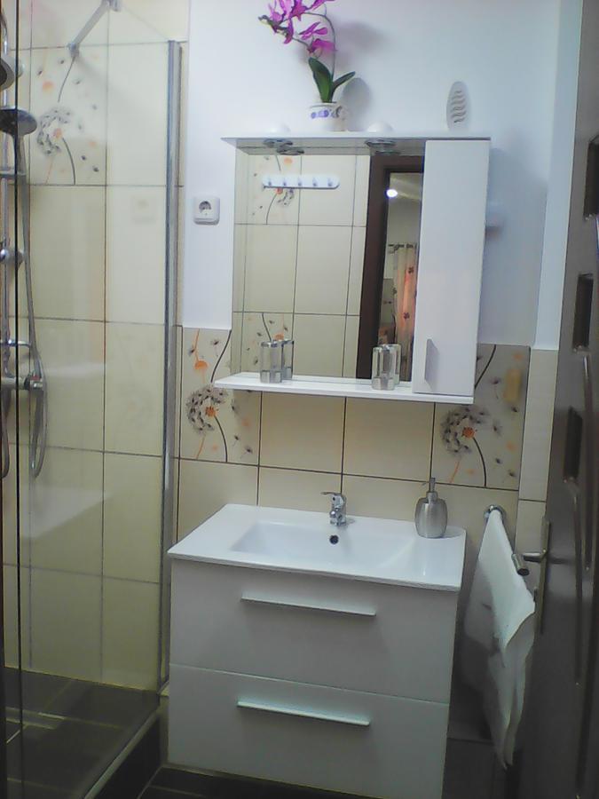 Mary Apartment Sibiu Exterior photo