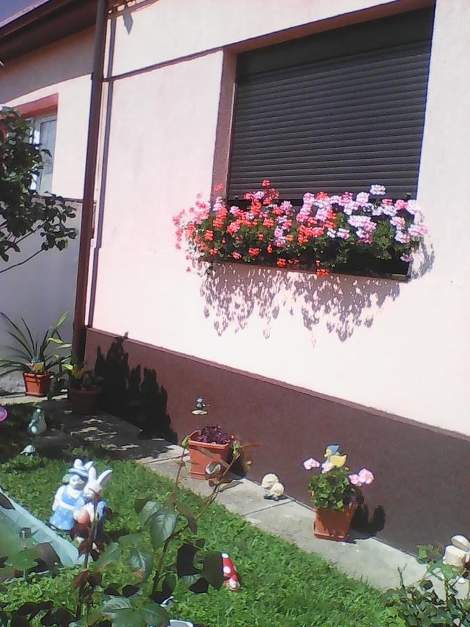 Mary Apartment Sibiu Exterior photo
